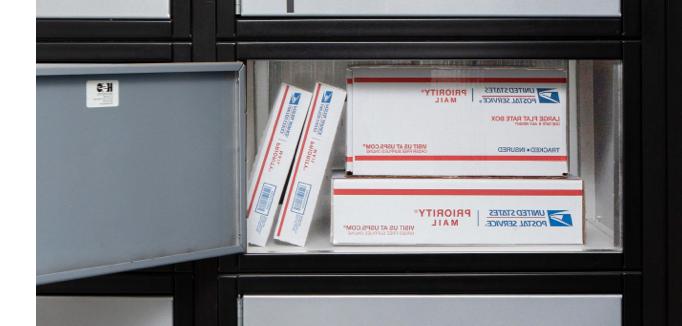 Priority Mail boxes inside a PO box.
